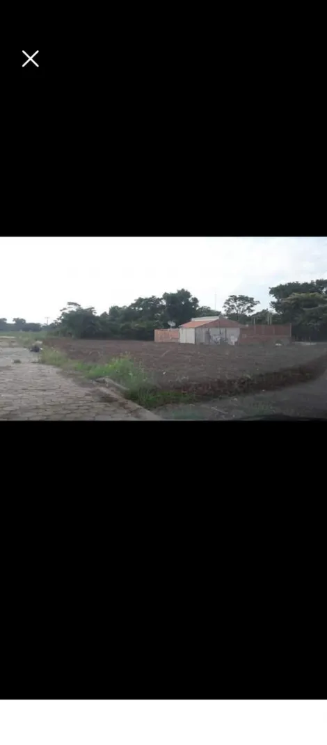 Comprar Terreno / Padr&atilde;o em Sales R$ 197.000,00 - Foto 21