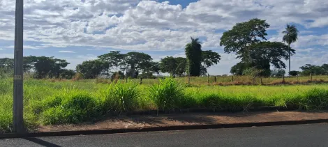Alugar Terreno / Padr&atilde;o em S&atilde;o Jos&eacute; do Rio Preto. apenas R$ 93.000,00