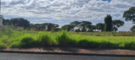 Comprar Terreno / Padr&atilde;o em S&atilde;o Jos&eacute; do Rio Preto R$ 93.000,00 - Foto 3