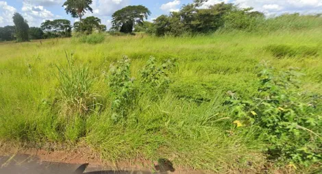 Alugar Terreno / Padr&atilde;o em S&atilde;o Jos&eacute; do Rio Preto. apenas R$ 94.000,00