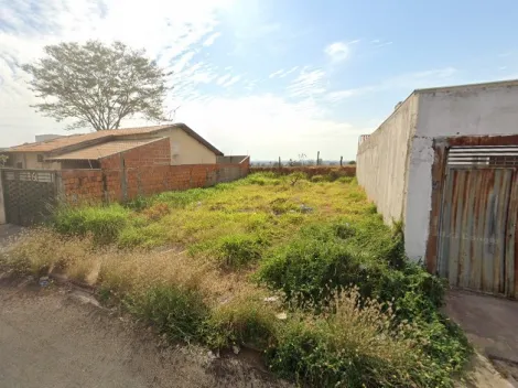Terreno / Padr&atilde;o em S&atilde;o Jos&eacute; do Rio Preto 