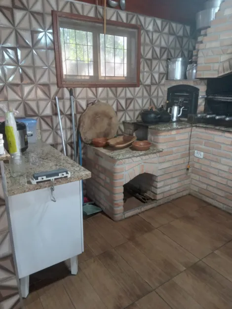 Comprar Rural / Rancho em Adolfo R$ 700.000,00 - Foto 4
