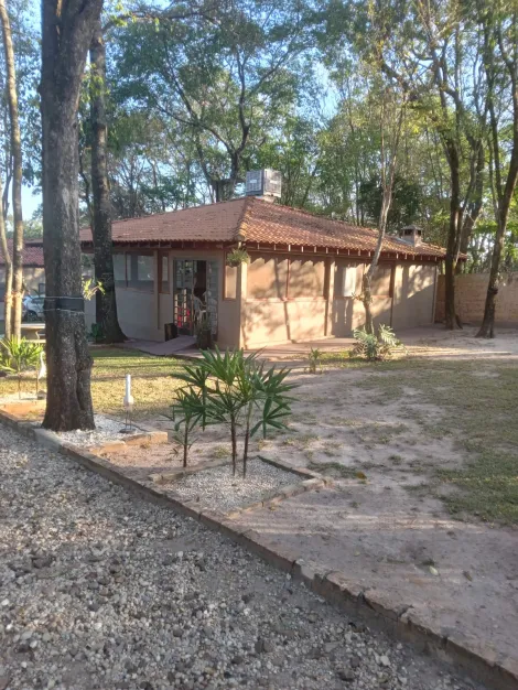 Comprar Rural / Rancho em Adolfo R$ 700.000,00 - Foto 2