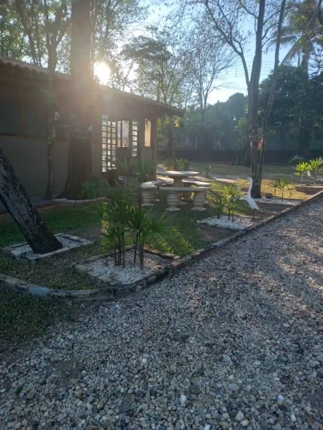 Rural / Rancho em Adolfo 