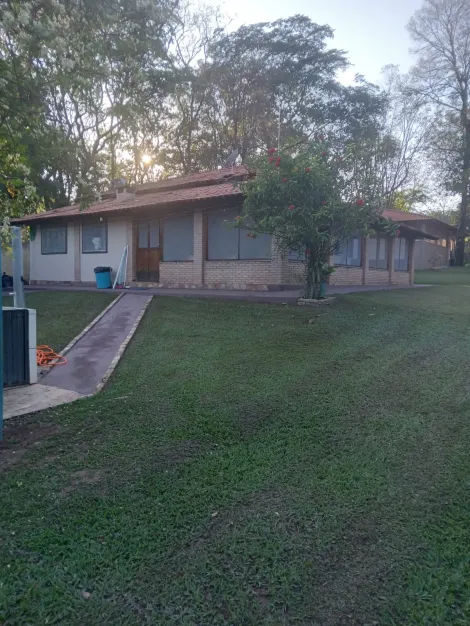 Comprar Rural / Rancho em Adolfo R$ 700.000,00 - Foto 8
