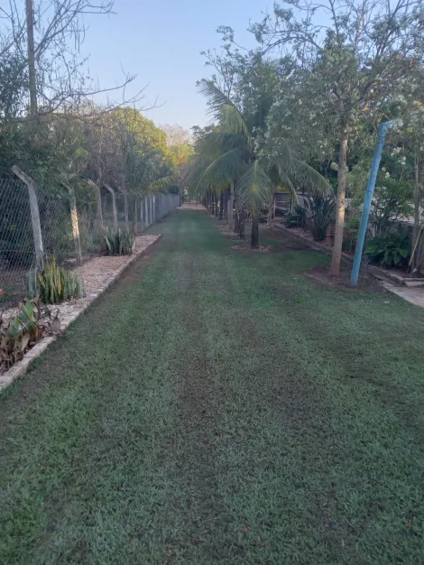 Comprar Rural / Rancho em Adolfo R$ 700.000,00 - Foto 6