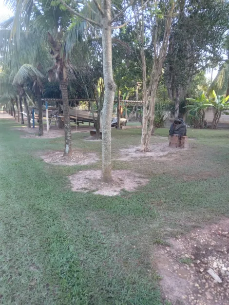 Comprar Rural / Rancho em Adolfo R$ 700.000,00 - Foto 9