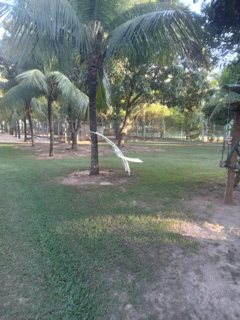 Comprar Rural / Rancho em Adolfo R$ 700.000,00 - Foto 10