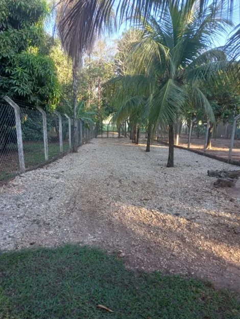 Comprar Rural / Rancho em Adolfo R$ 700.000,00 - Foto 11