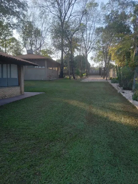 Comprar Rural / Rancho em Adolfo R$ 700.000,00 - Foto 12