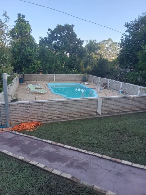 Comprar Rural / Rancho em Adolfo R$ 700.000,00 - Foto 16