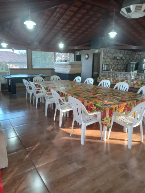 Comprar Rural / Rancho em Adolfo R$ 700.000,00 - Foto 7