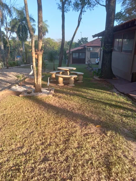 Comprar Rural / Rancho em Adolfo R$ 700.000,00 - Foto 14
