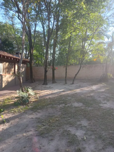 Comprar Rural / Rancho em Adolfo R$ 700.000,00 - Foto 15