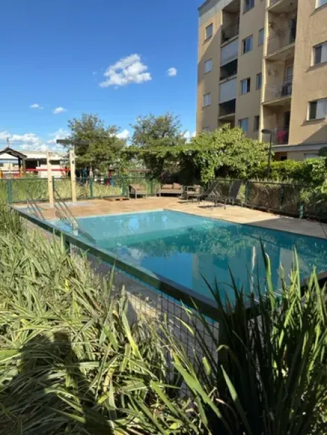 Alugar Apartamento / Padr&atilde;o em S&atilde;o Jos&eacute; do Rio Preto R$ 1.350,00 - Foto 12