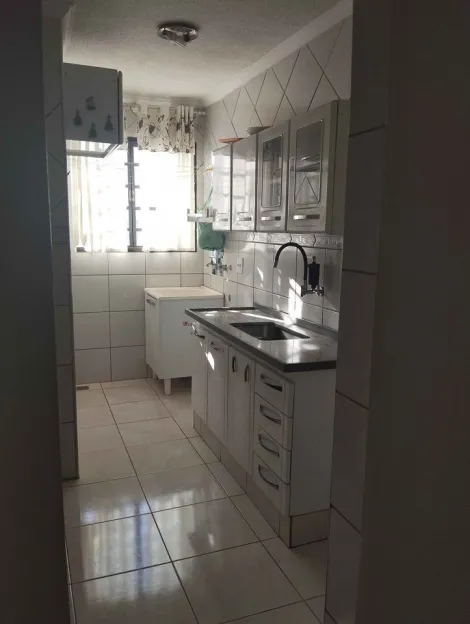 Alugar Apartamento / Padr&atilde;o em S&atilde;o Jos&eacute; do Rio Preto R$ 800,00 - Foto 3