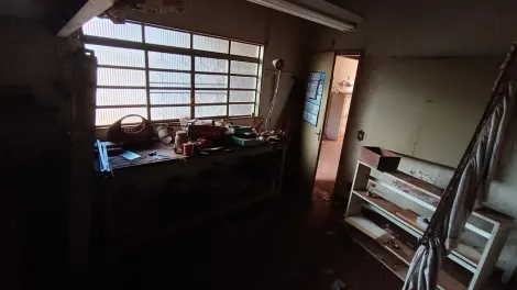 Alugar Casa / Padr&atilde;o em S&atilde;o Jos&eacute; do Rio Preto R$ 2.500,00 - Foto 9