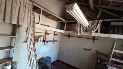 Alugar Casa / Padr&atilde;o em S&atilde;o Jos&eacute; do Rio Preto R$ 2.500,00 - Foto 12