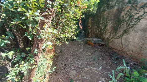 Alugar Casa / Padr&atilde;o em S&atilde;o Jos&eacute; do Rio Preto R$ 2.500,00 - Foto 14
