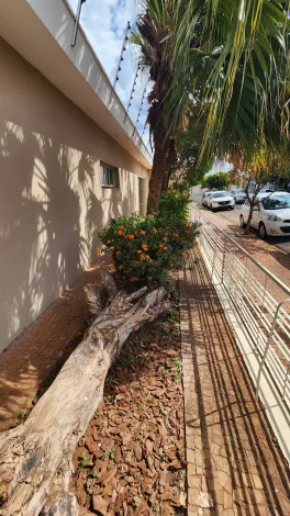 Alugar Comercial / Casa Comercial em S&atilde;o Jos&eacute; do Rio Preto R$ 4.800,00 - Foto 21