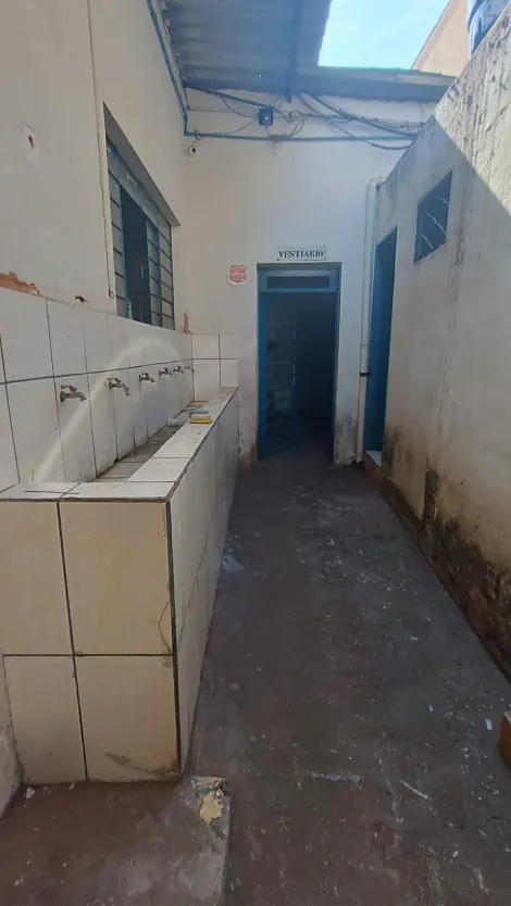 Comprar Comercial / Pr&eacute;dio Inteiro em S&atilde;o Jos&eacute; do Rio Preto R$ 16.000.000,00 - Foto 25