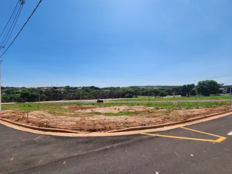 Terreno / Padr&atilde;o em S&atilde;o Jos&eacute; do Rio Preto 