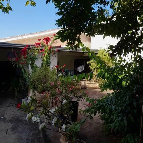 Alugar Casa / Padr&atilde;o em S&atilde;o Jos&eacute; do Rio Preto. apenas R$ 260.000,00