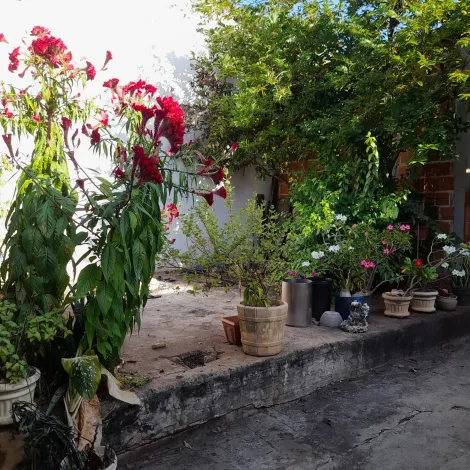 Comprar Casa / Padr&atilde;o em S&atilde;o Jos&eacute; do Rio Preto R$ 260.000,00 - Foto 3