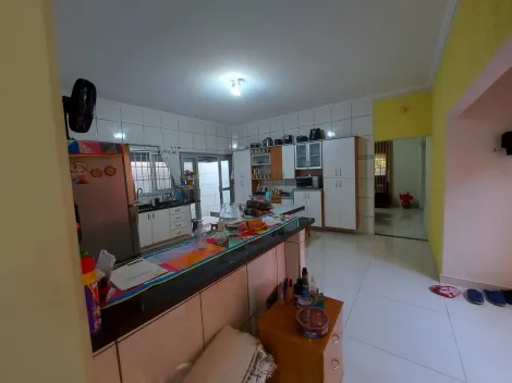 Alugar Casa / Padr&atilde;o em S&atilde;o Jos&eacute; do Rio Preto. apenas R$ 500.000,00
