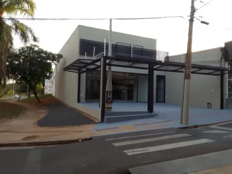 Comercial / Sal&atilde;o em S&atilde;o Jos&eacute; do Rio Preto 