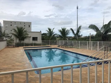 Comprar Apartamento / Padr&atilde;o em S&atilde;o Jos&eacute; do Rio Preto R$ 390.000,00 - Foto 17