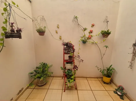 Alugar Casa / Padr&atilde;o em S&atilde;o Jos&eacute; do Rio Preto R$ 1.500,00 - Foto 6