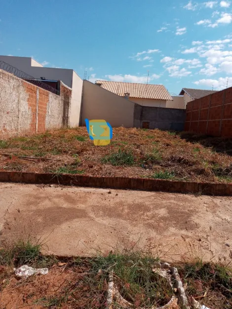 Comprar Terreno / Padr&atilde;o em S&atilde;o Jos&eacute; do Rio Preto R$ 130.000,00 - Foto 3