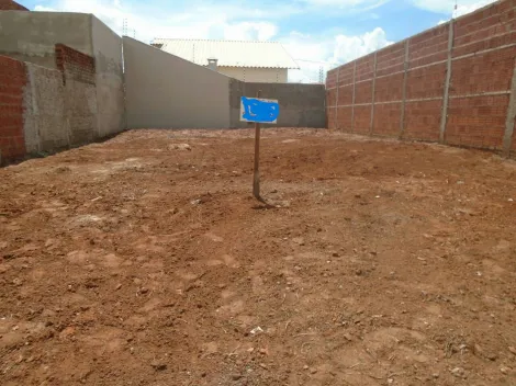 Terreno / Padr&atilde;o em S&atilde;o Jos&eacute; do Rio Preto 
