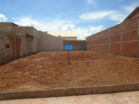 Comprar Terreno / Padr&atilde;o em S&atilde;o Jos&eacute; do Rio Preto R$ 130.000,00 - Foto 2