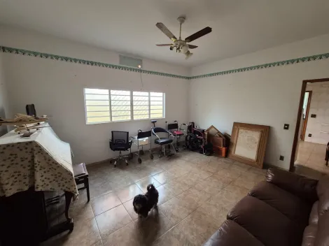 Comprar Comercial / Casa Comercial em S&atilde;o Jos&eacute; do Rio Preto R$ 1.300.000,00 - Foto 4