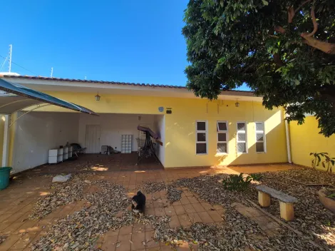 Comercial / Casa Comercial em S&atilde;o Jos&eacute; do Rio Preto 