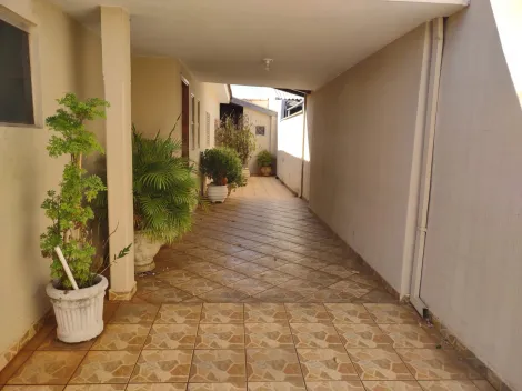 Alugar Casa / Padr&atilde;o em S&atilde;o Jos&eacute; do Rio Preto. apenas R$ 650.000,00
