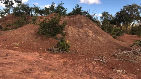 Comprar Rural / Fazenda em Urucuia R$ 4.100.000,00 - Foto 8