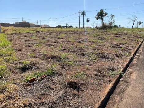 Comprar Terreno / Padr&atilde;o em S&atilde;o Jos&eacute; do Rio Preto R$ 140.000,00 - Foto 3