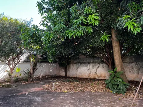Alugar Casa / Padr&atilde;o em Mirassol R$ 10.000,00 - Foto 20