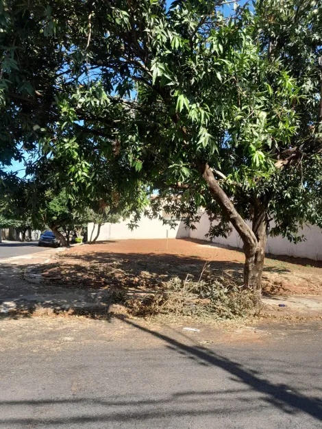 Terreno / Padr&atilde;o em S&atilde;o Jos&eacute; do Rio Preto 