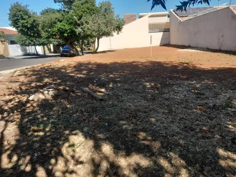 Comprar Terreno / Padr&atilde;o em S&atilde;o Jos&eacute; do Rio Preto R$ 350.000,00 - Foto 2