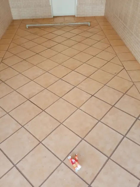 Comprar Comercial / HotelMotelPousada em Bady Bassitt R$ 7.500.000,00 - Foto 6
