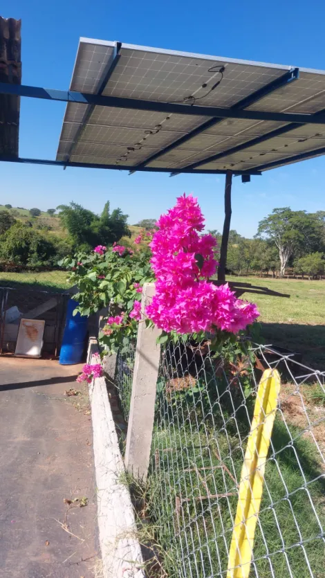 Alugar Rural / Ch&aacute;cara em Bady Bassitt R$ 3.000,00 - Foto 3