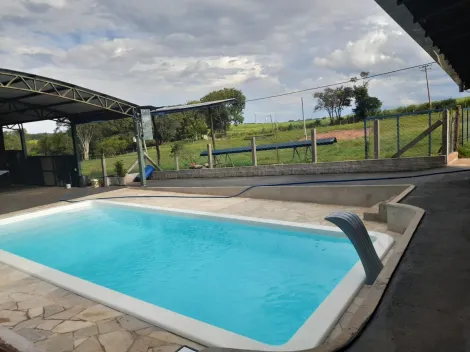 Alugar Rural / Ch&aacute;cara em Bady Bassitt R$ 3.000,00 - Foto 11