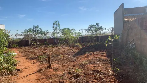 Terreno / Padr&atilde;o em Mirassol 