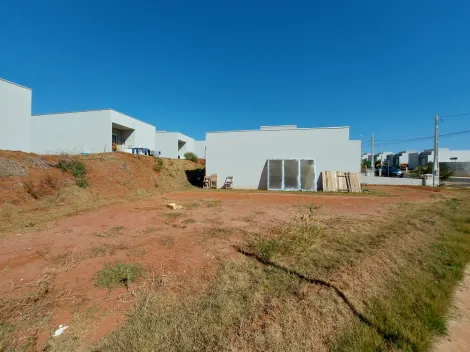 Comprar Casa / Condom&iacute;nio em S&atilde;o Jos&eacute; do Rio Preto R$ 250.000,00 - Foto 8