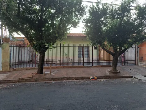 Alugar Casa / Padr&atilde;o em S&atilde;o Jos&eacute; do Rio Preto. apenas R$ 800,00