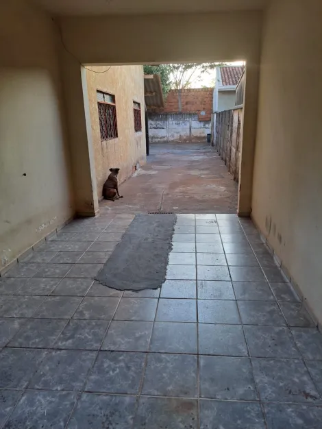 Alugar Casa / Padr&atilde;o em S&atilde;o Jos&eacute; do Rio Preto R$ 800,00 - Foto 2